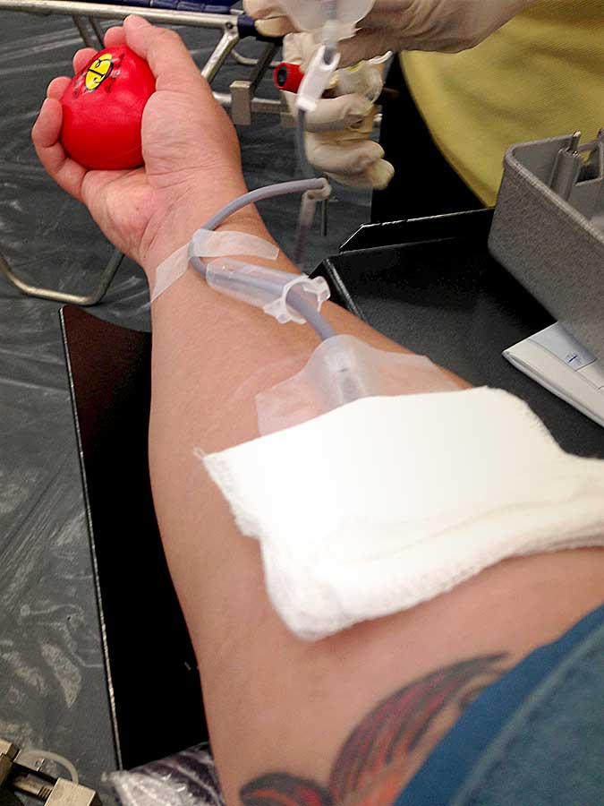 Hooked up to the blood bag